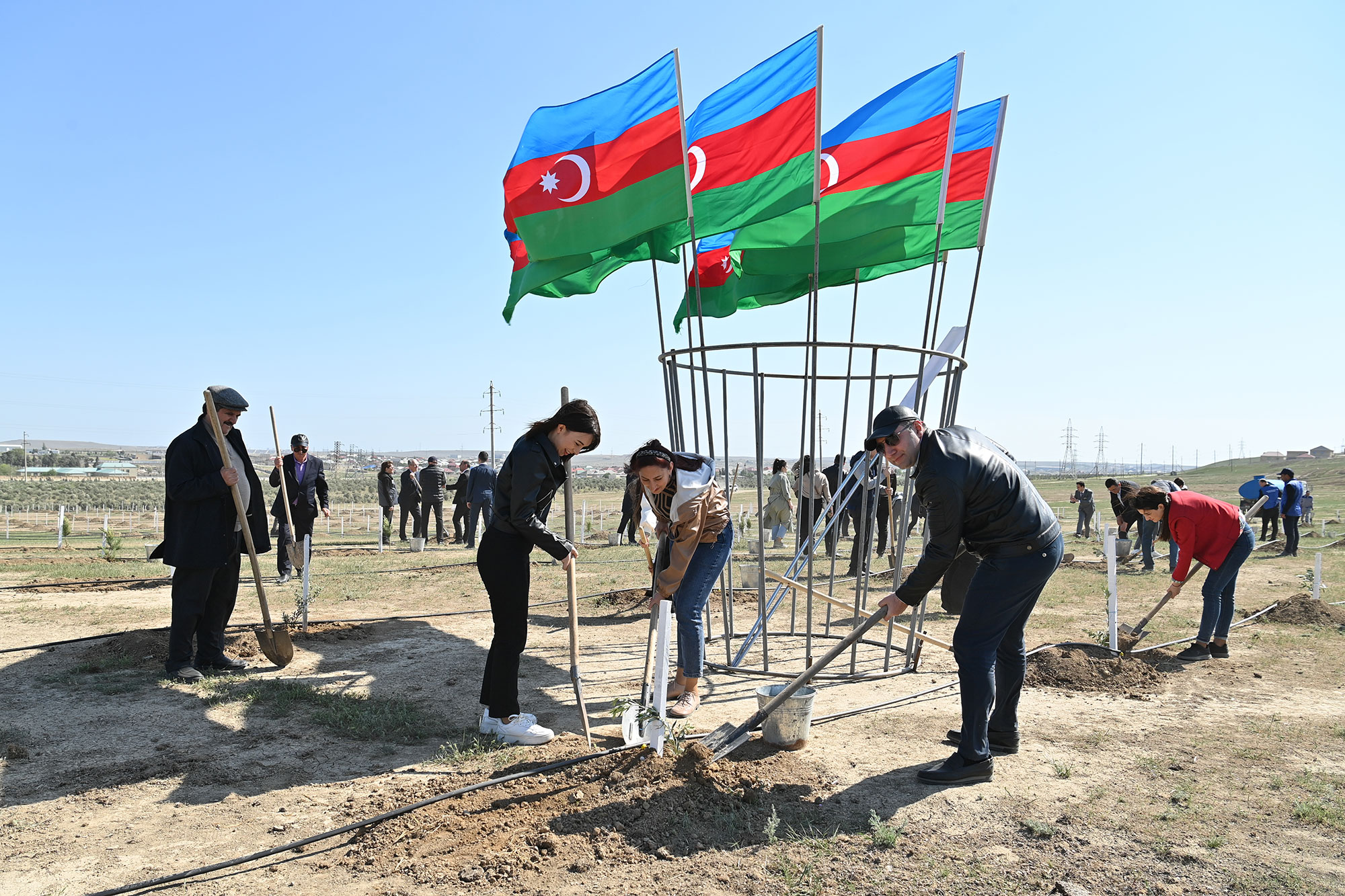 Heydər Əliyevin 100 illik yubileyi ilə əlaqədar ağacəkmə kampaniyası davam edir