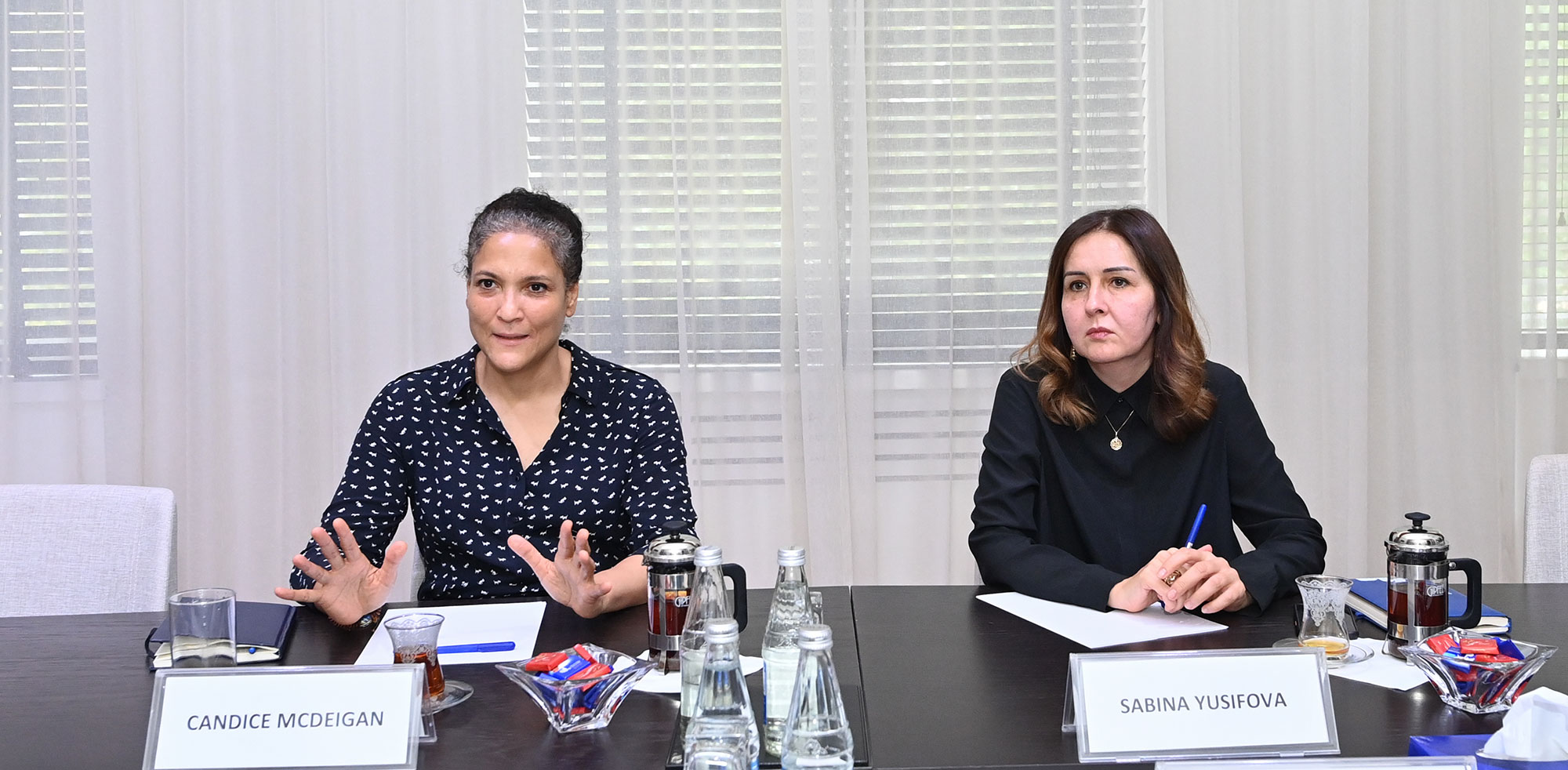 Elm və təhsil naziri Asiya İnkişaf Bankının Azərbaycandakı nümayəndəliyinin rəhbəri ilə görüşüb