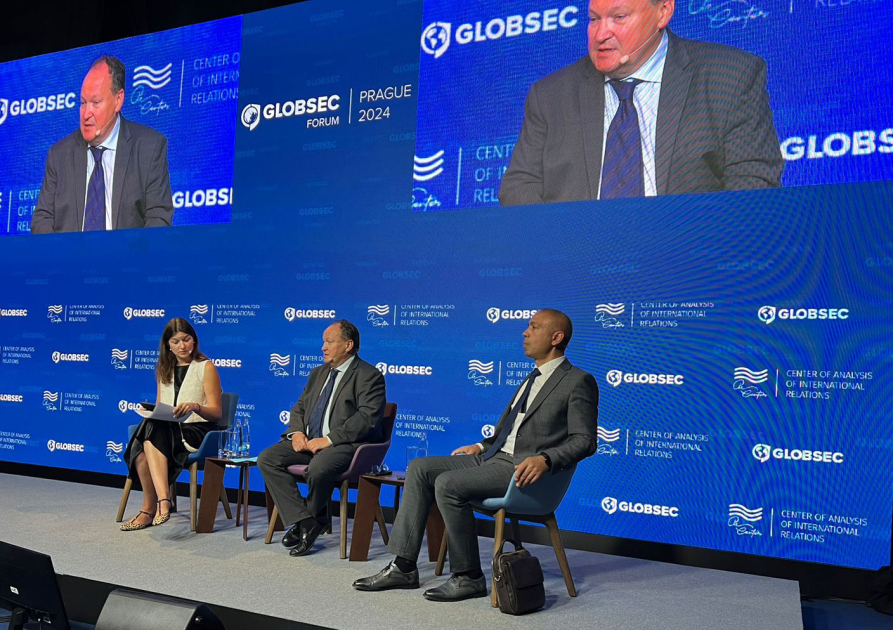 “COP29 və yaşıl üfüqlər: iqlim dəyişikliyinin idarə edilməsi” mövzusunda panel keçirilib