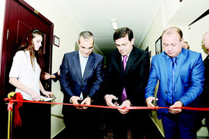 Böyütmək üçün şəkili seçin